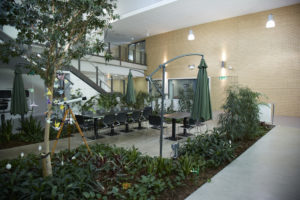 Photo of an indoor eating area in Longfield Academy with umbrellas and plants around.