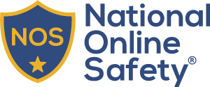 National Online Safety logo